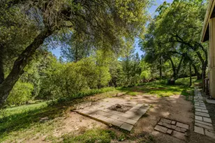 18848 State Hwy 88, Pine Grove, CA 95665 - Photo 56
