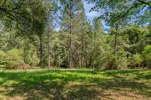 18848 State Hwy 88, Pine Grove, CA 95665 - Photo 50