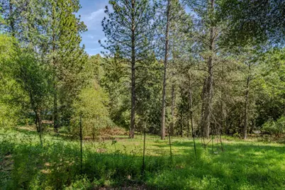18848 State Highway 88, Pine Grove, CA 95665 - Photo 52