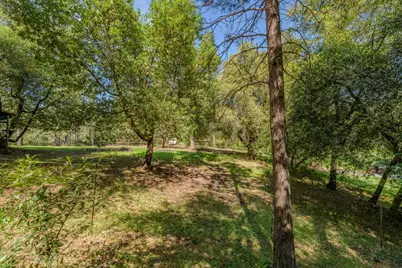 18848 State Highway 88, Pine Grove, CA 95665 - Photo 48