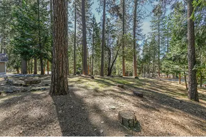 18190 N Meadow Drive, Pioneer, CA 95666 - Photo 34