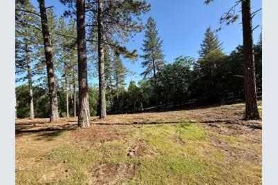 16824 Pine Grove Reservoir, Nevada City, CA 95959 - Photo 8