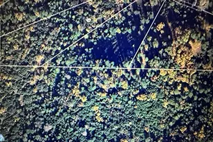 4368 Eazy Bird Way, Wilseyville, CA 95257 - Photo 24