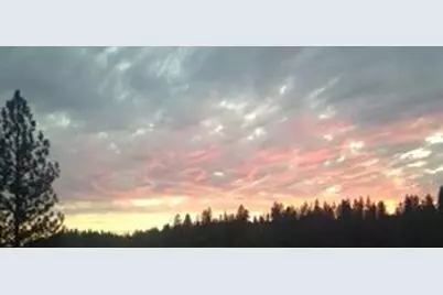 4368 Eazy Bird Way, Wilseyville, CA 95257 - Photo 8