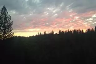 4368 Eazy Bird Way, Wilseyville, CA 95257 - Photo 8