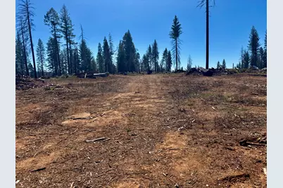 0 3.4 Ac Huggy Bear Lane, Grizzly Flats, CA 95636 - Photo 8