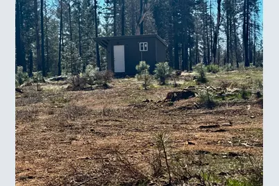 0 3.4 Ac Huggy Bear Lane, Grizzly Flats, CA 95636 - Photo 14