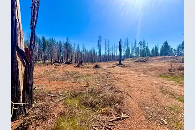 0 3.4 Ac Huggy Bear Lane, Grizzly Flats, CA 95636 - Photo 10
