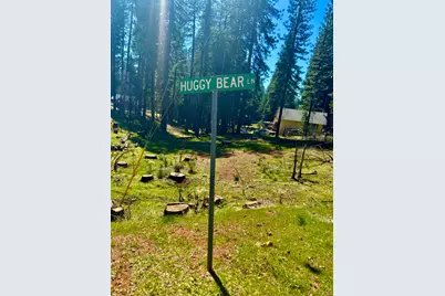 0 3.4 Ac Huggy Bear Lane, Grizzly Flats, CA 95636 - Photo 4