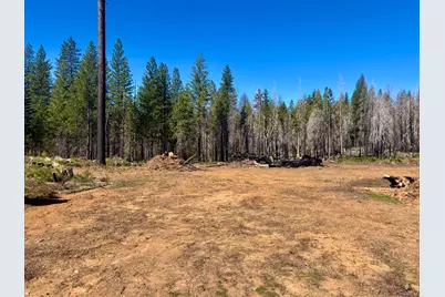 0 3.4 Ac Huggy Bear Lane, Grizzly Flats, CA 95636 - Photo 22