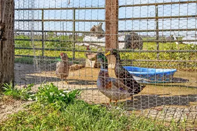 13512 Alta Mesa Road, Galt, CA 95632 - Photo 74