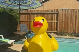 954 Avenida Real, Ceres, CA 95307 - Photo 32