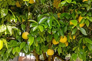 1928 Rosecrans Way, Stockton, CA 95207 - Photo 34