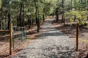 21376 Aqueduct Cir, Pine Grove, CA 95665 - Photo 30