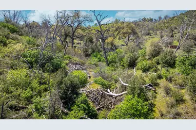 540 Music Gulch Road, Mokelumne Hill, CA 95245 - Photo 32