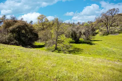 540 Music Gulch Road, Mokelumne Hill, CA 95245 - Photo 8