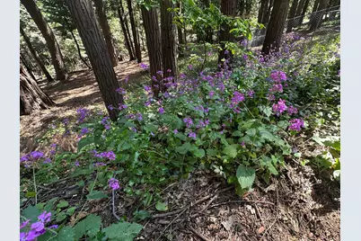 4331 Mountain Lake Court, Pollock Pines, CA 95726 - Photo 28