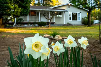 13506 Squirrel Creek Road, Grass Valley, CA 95945 - Photo 46