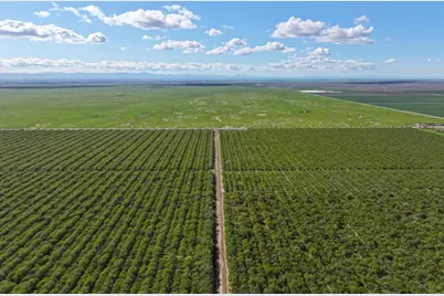 11885 Road 9, Madera, CA 93637 - Photo 6