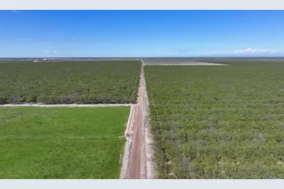 11885 Road 9, Madera, CA 93637 - Photo 14