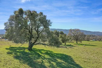 1229 W Murray Creek Road, San Andreas, CA 95249 - Photo 30