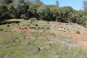 19310 Branding Iron Rd, Penn Valley, CA 95946 - Photo 28