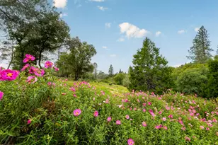 10360 Oak Canyon Dr, Penn Valley, CA 95946 - Photo 56