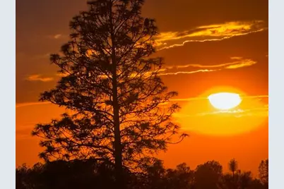 10360 Oak Canyon Drive, Penn Valley, CA 95946 - Photo 62