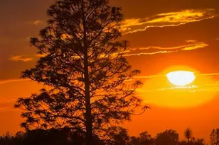 10360 Oak Canyon Dr, Penn Valley, CA 95946 - Photo 62