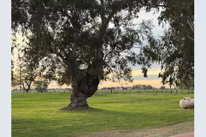 3027 W Wise Road, Lincoln, CA 95648 - Photo 6