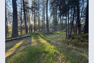 0 Pleasant St., Grass Valley, CA 95945 - Photo 14