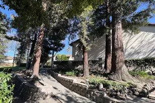 41016 Cornac Terrace, Fremont, CA 94539 - Photo 18