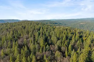 5498 Platt Mountain Rd, Forest Ranch, CA 95942 - Photo 58