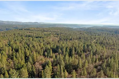 5498 Platt Mountain Road, Forest Ranch, CA 95942 - Photo 56