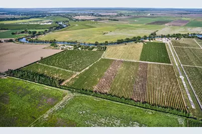 0 Andrus Island Road, Isleton, CA 95641 - Photo 12