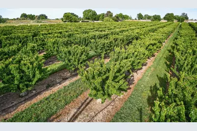 0 Andrus Island Road, Isleton, CA 95641 - Photo 34