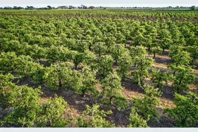 0 Andrus Island Road, Isleton, CA 95641 - Photo 32