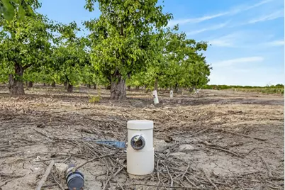 0 Andrus Island Road, Isleton, CA 95641 - Photo 28