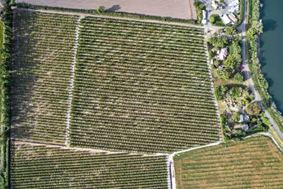 0 Andrus Island Road, Isleton, CA 95641 - Photo 10