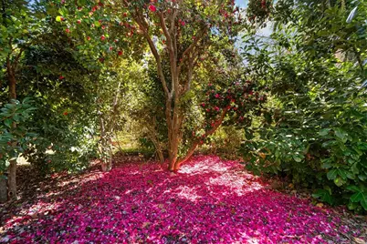 10041 Greenwood Road, Grass Valley, CA 95945 - Photo 50