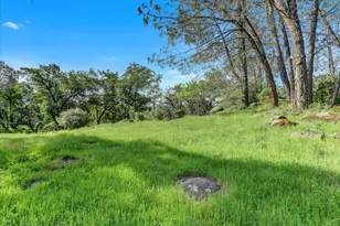 16185 Del Mar Way, Penn Valley, CA 95946 - Photo 82