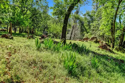 16804 Alice Way, Grass Valley, CA 95949 - Photo 76