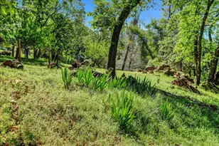 16804 Alice Way, Grass Valley, CA 95949 - Photo 76