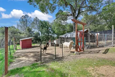 1581 Moccasin Trail, Placerville, CA 95667 - Photo 2