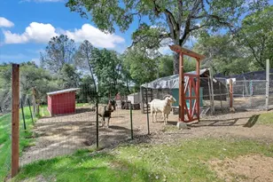 1581 Moccasin Trail, Placerville, CA 95667 - Photo 2