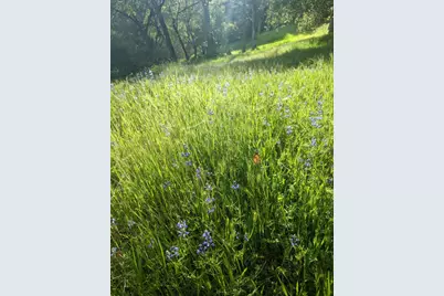 1581 Moccasin Trail, Placerville, CA 95667 - Photo 70