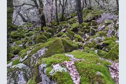 1581 Moccasin Trail, Placerville, CA 95667 - Photo 64