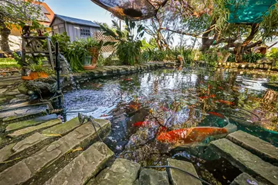 23404 N Bruella Road, Acampo, CA 95220 - Photo 58