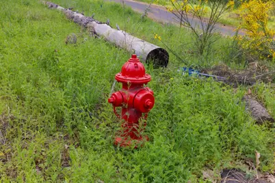 0 Carson Road, Camino, CA 95709 - Photo 34