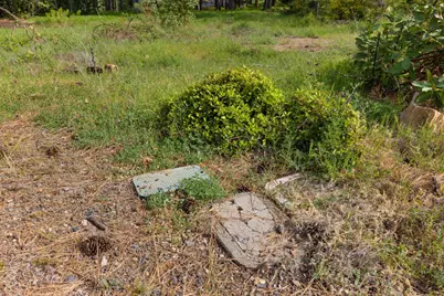 0 Carson Road, Camino, CA 95709 - Photo 26